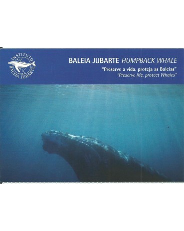 Baleia Jubarte 12.220